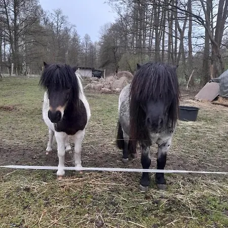 Liljas Haus Im Spreewald Daire
