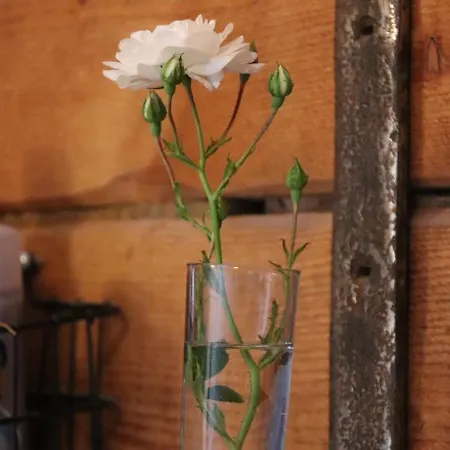 Apartamento Liljas Haus Im Spreewald *