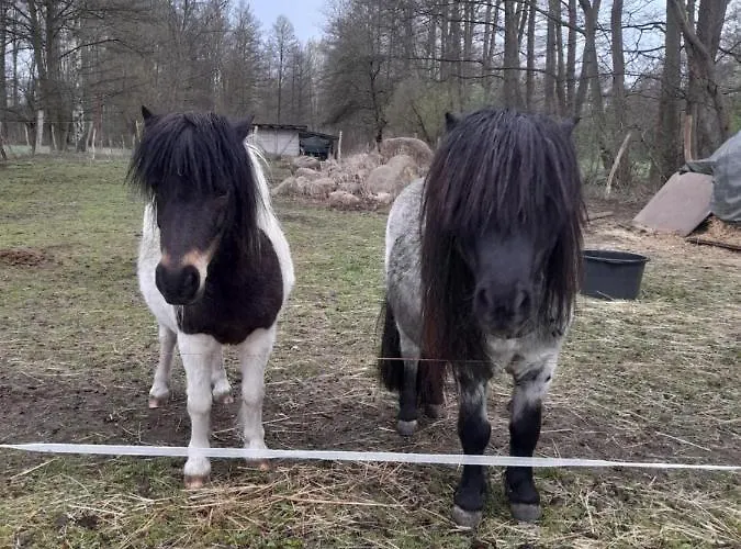 Liljas Haus Im Spreewald דירה