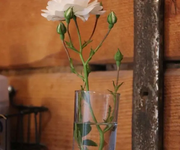 Lägenhet Liljas Haus Im Spreewald *